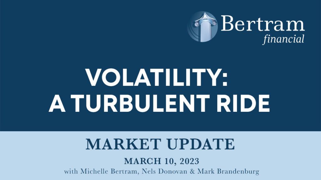 Market Update - A Turbulent Ride